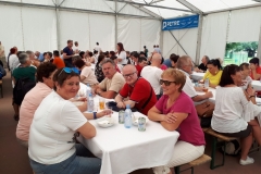 velenje_junij_201928